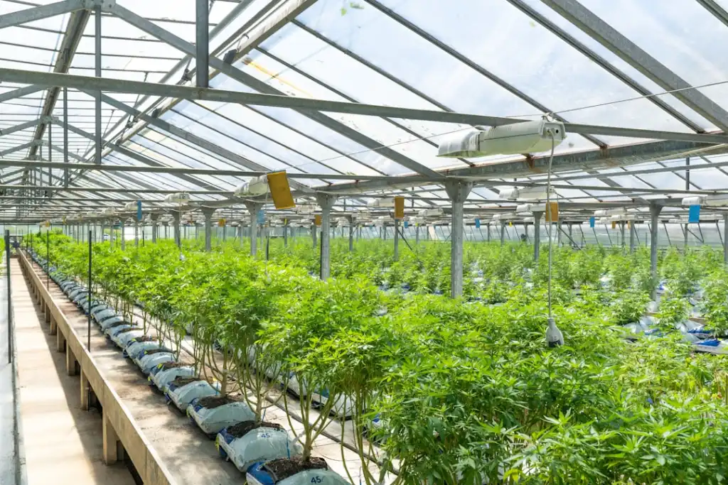 北京登洁科技环保设备型号参数对比与选型分析